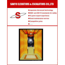 Titane Wall &amp; Decorative Plafond Passager Ascenseur / Villa Ascenseur